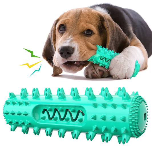 Amazon Pet Chew Toothbrush and Dental Ball Toy